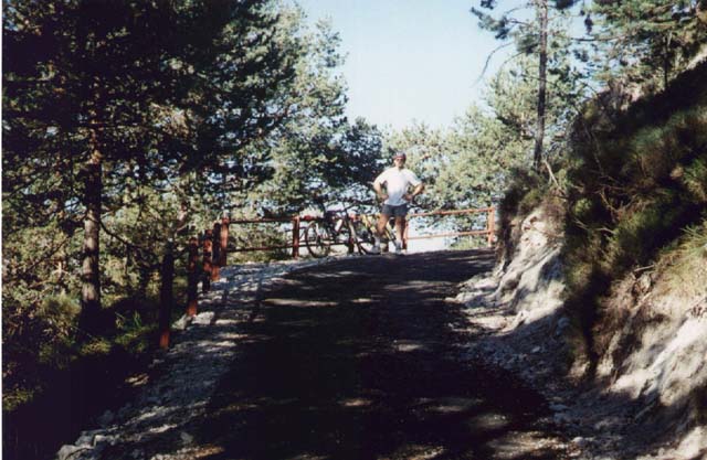 BIEL0003