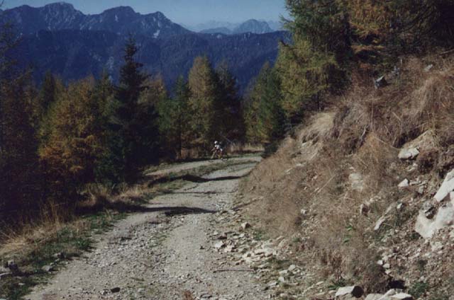 BIEL0027