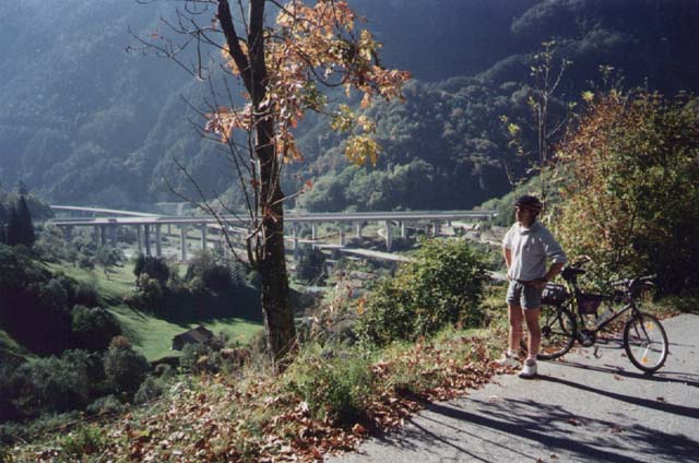 BIEL0031
