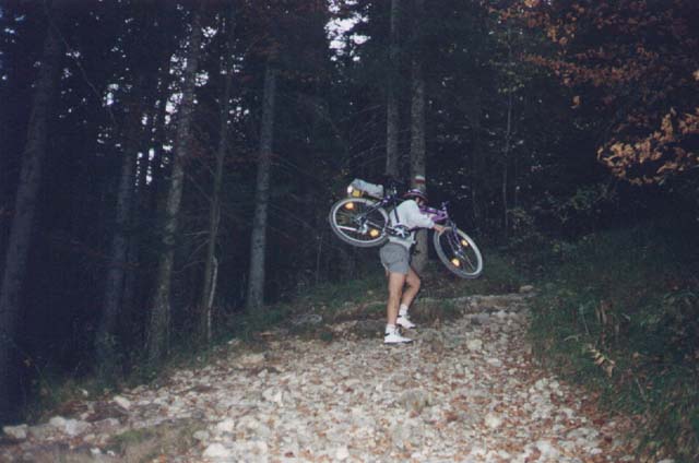 BIEL0038