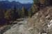 BIEL0027